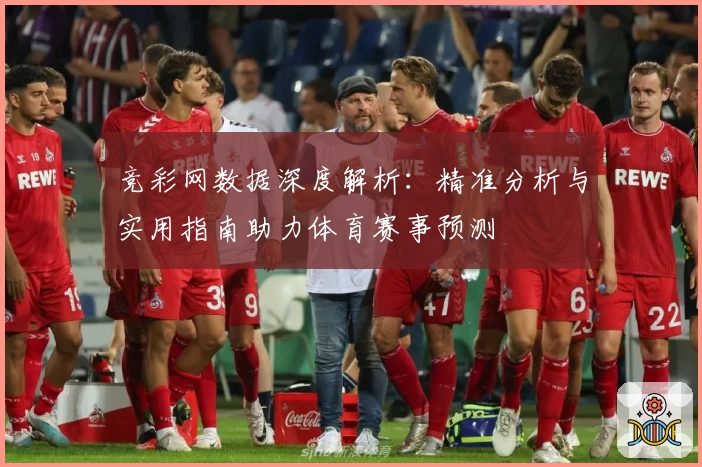 竞彩网数据深度解析：精准分析与实用指南助力体育赛事预测