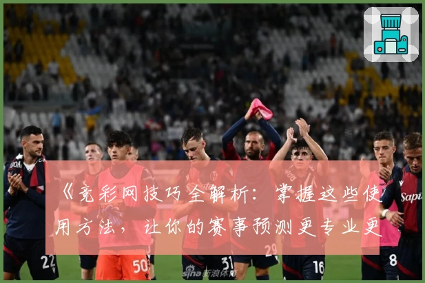 《竞彩网技巧全解析：掌握这些使用方法，让你的赛事预测更专业更高效》